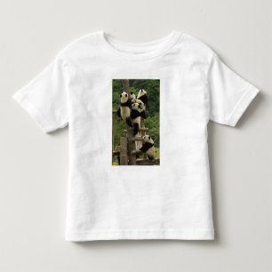 Camiseta De Bebé crías de panda gigante Ailuropoda melanoleuca)