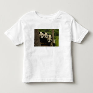 Camiseta De Bebé crías de panda gigante Ailuropoda melanoleuca)