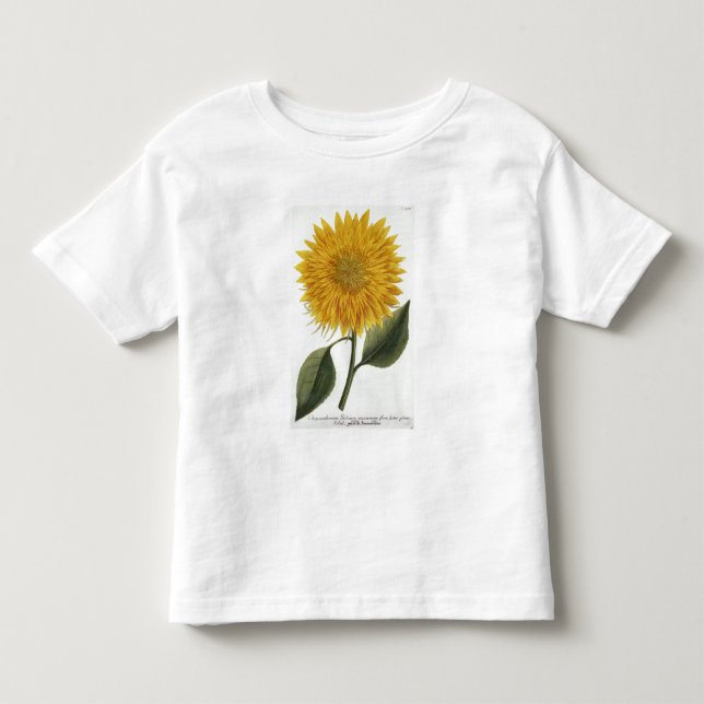 Camiseta De Bebé Crisantemo Indicum de 'Pythanthoza Iconograph (Anverso)