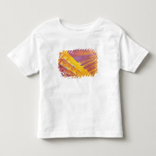 Camiseta De Bebé Cristales del ácido oxálico