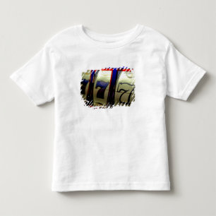 Camiseta De Bebé Crucero por México. Princess Cruises Dawn Princess