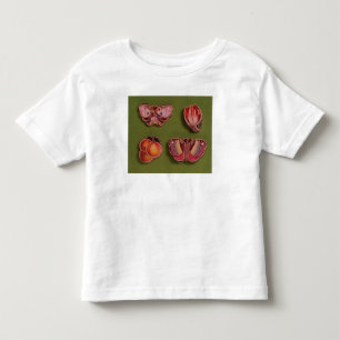 Camiseta De Bebé Cuatro esmaltados y cajas jewelled, mariposa