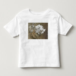 Camiseta De Bebé Cubiertas de nieve las montañas rocosas en estado