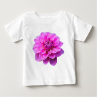Dahlia rosa (aislada)