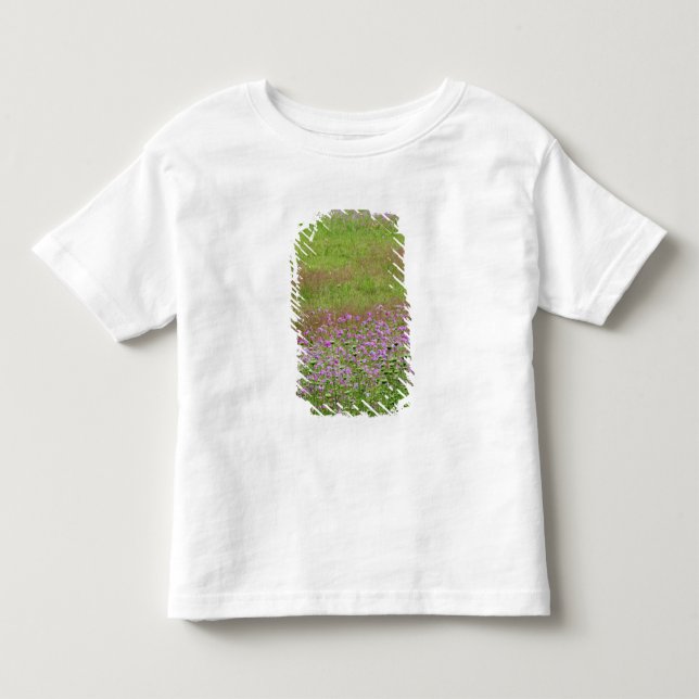 Camiseta De Bebé Daucus carota creciendo (Anverso)