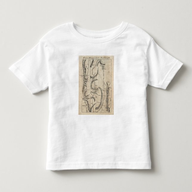 Camiseta De Bebé De Albany a Newborough 33 (Anverso)