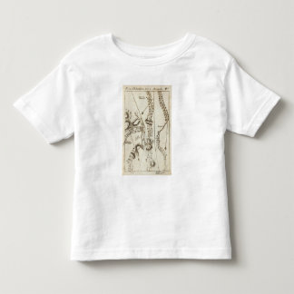 Camiseta De Bebé De Philadelphia a Md 60 de Annapolis