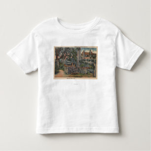 Camiseta De Bebé Deland, FL - ruinas del molino de azúcar español