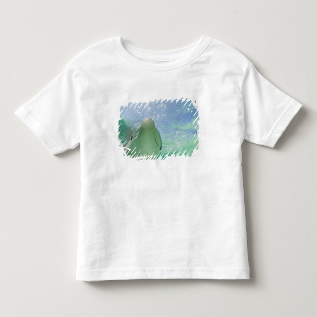 Camiseta De Bebé Delfines mulares Tursiops truncatus) (Anverso)