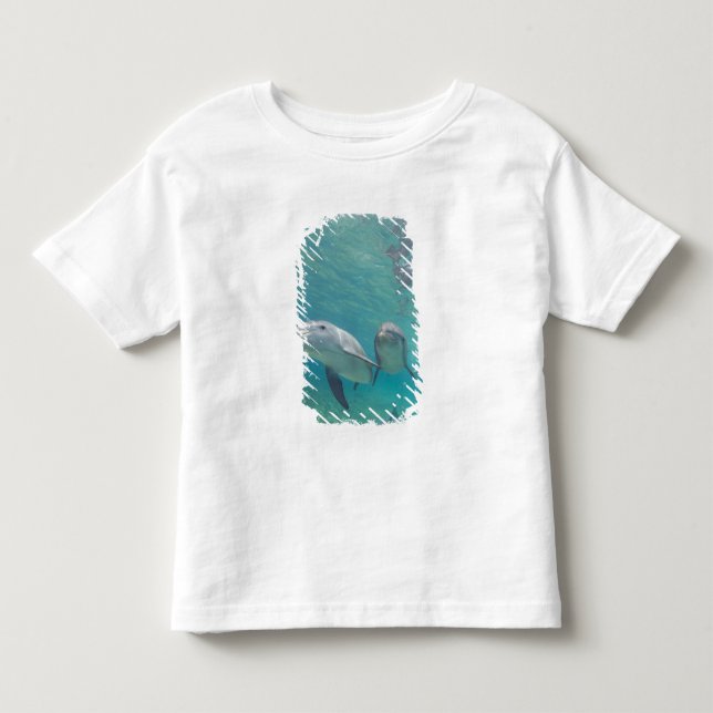 Camiseta De Bebé Delfines mulares Tursiops truncatus (Anverso)