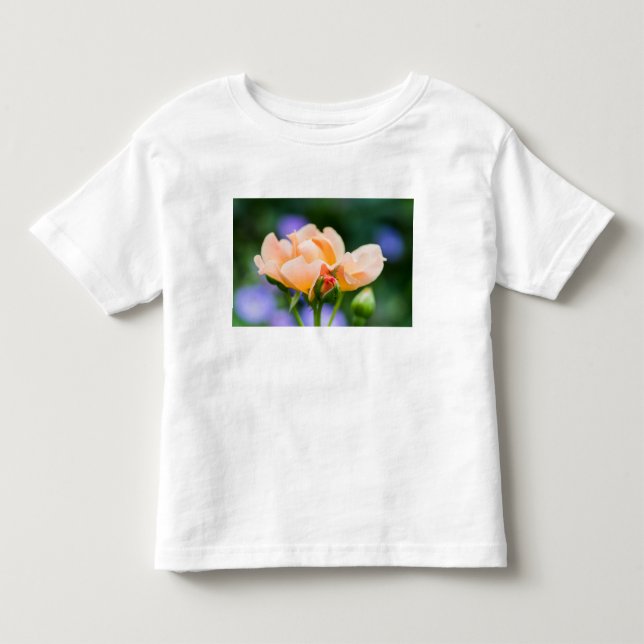 Camiseta De Bebé deseo de desarrollo (Anverso)