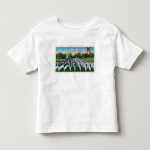 Camiseta De Bebé Desfile de vestido de la academia militar