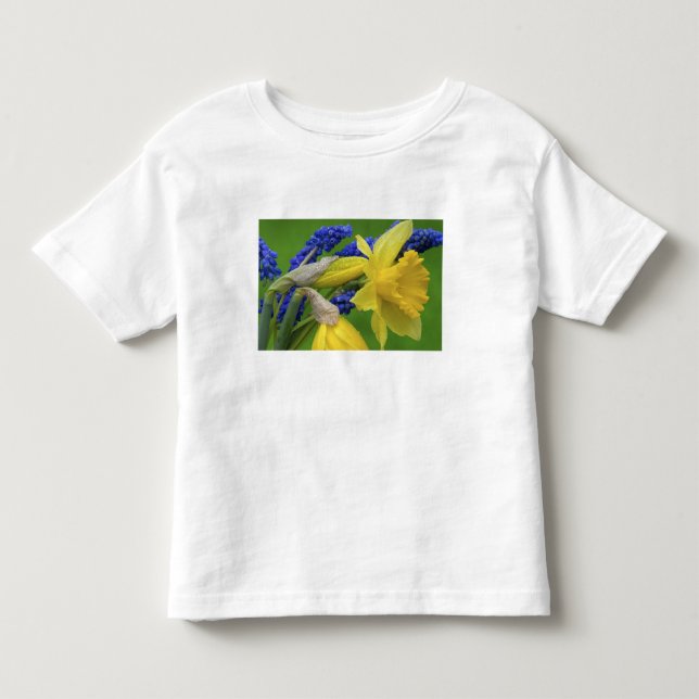 Camiseta De Bebé Detalle de flores de narciso y jacinto. Crédito (Anverso)