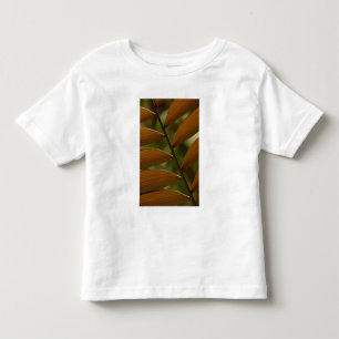 Camiseta De Bebé Detalle de palmeras subterráneas. Bosque de nubes