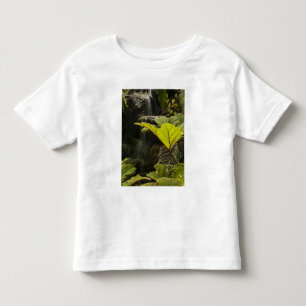 Camiseta De Bebé Detalle de planta en un jardín botánico, Ecuador