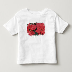 Camiseta De Bebé Detalle de poinsettia roja (Euphorbia pulcherrima)