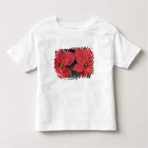 Camiseta De Bebé Detalle de Poinsettia Roja (pulcherrima de la eufo