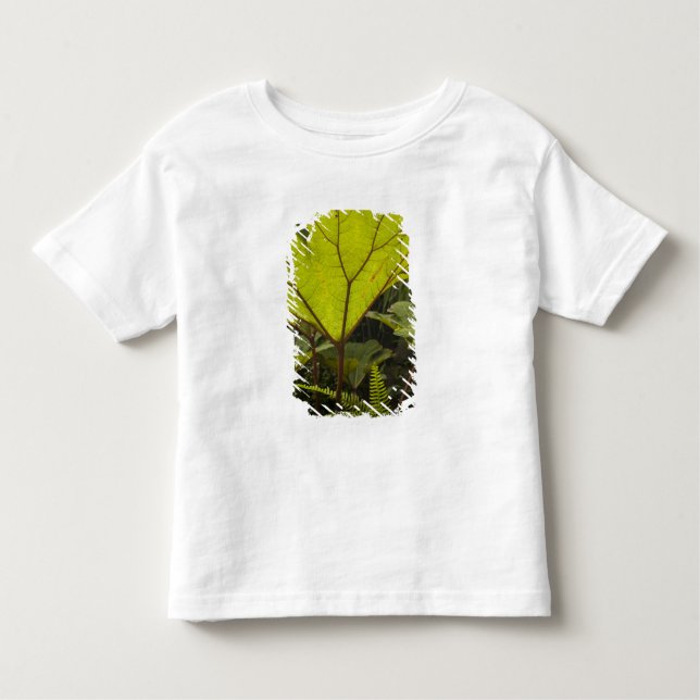 Camiseta De Bebé Detalle vegetal en un jardín botánico, Ecuador 2 (Anverso)