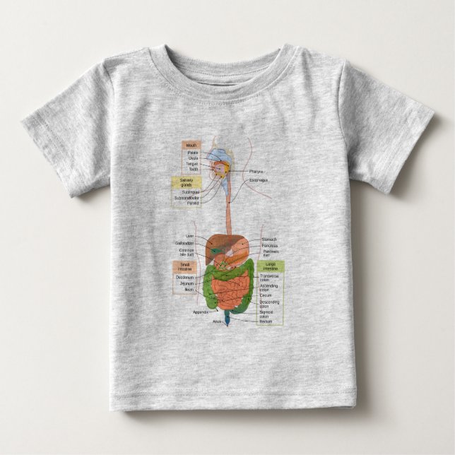 Camiseta De Bebé Diagrama Sistema digestivo gastrointestinal humano (Anverso)