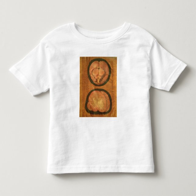 Camiseta De Bebé Dibujo anatómico del cerebro humano (Anverso)