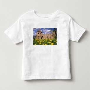 Camiseta De Bebé Dientes de león rodean el castillo de Cesis en el