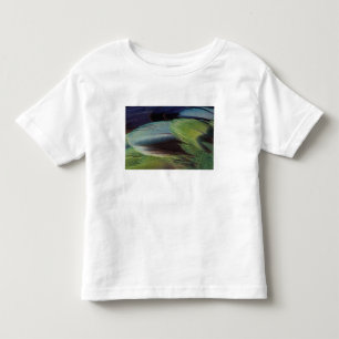 Camiseta De Bebé diseño de patrón de plumas de loro