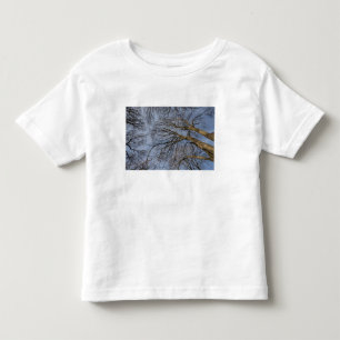 Camiseta De Bebé Diseño/patrón del tronco del árbol. Pioineer Park,