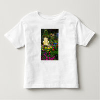diseños de jardín en nuestro jardín Sammamish,