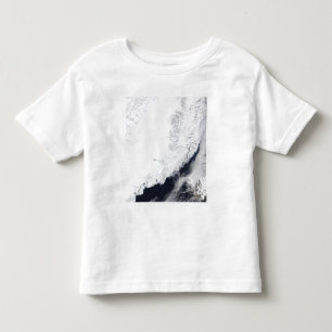 Camiseta De Bebé Diversos tipos de hielo marino