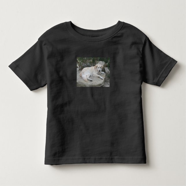 Camiseta De Bebé Dog Resting On A Rock (Anverso)