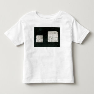 Camiseta De Bebé Dos adornaron los sellos que representaban un ceb