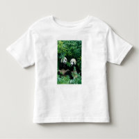 Dos pandas comiendo bambú juntos, Wolong