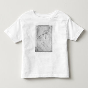 Camiseta De Bebé Dos tortugas, cabras y ovejas
