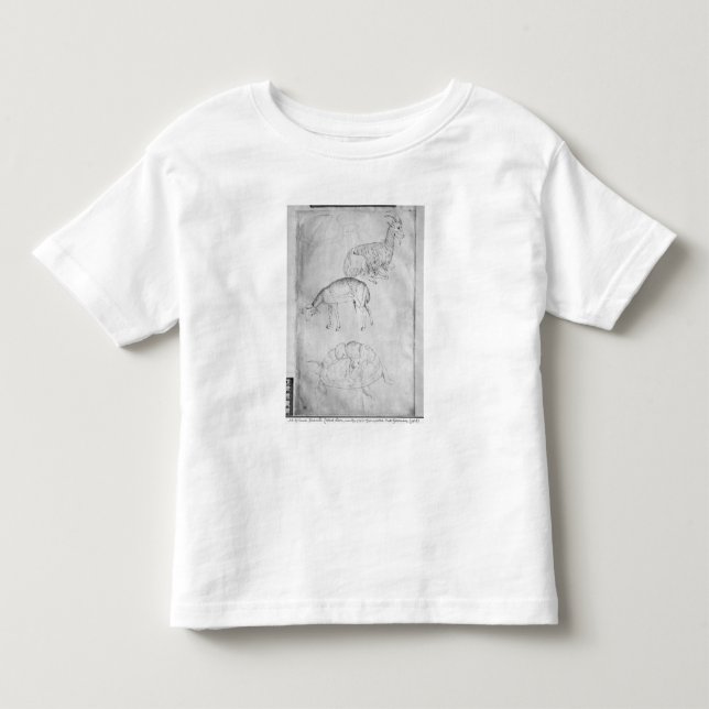 Camiseta De Bebé Dos tortugas, cabras y ovejas (Anverso)