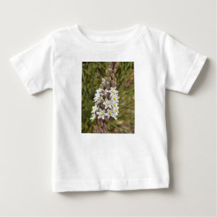 Camiseta De Bebé Drimia Maritima O Island Onion Art