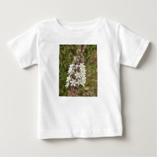 Camiseta De Bebé Drimia Maritima O Island Onion Art