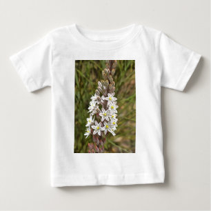 Camiseta De Bebé Drimia Maritima O Island Onion Art