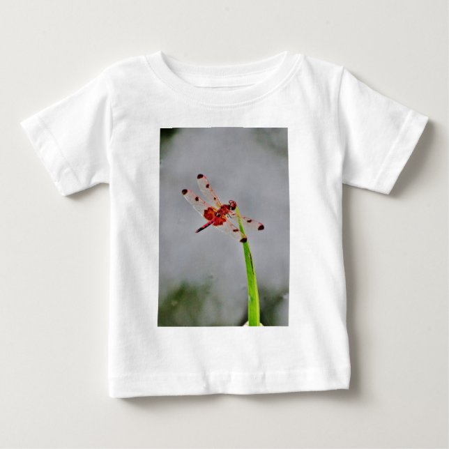 CAMISETA DE BEBÉ DSC00029.JPG (Anverso)