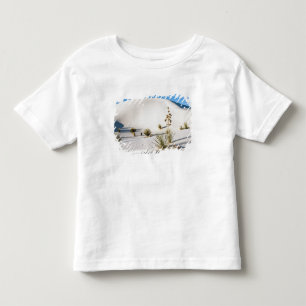 Camiseta De Bebé Dunas Transversales y Yucca de Jabón