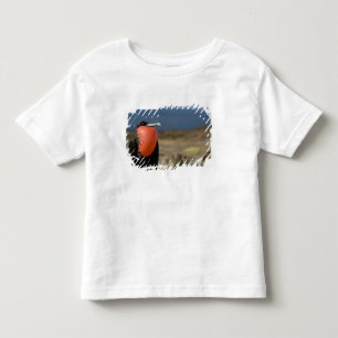 Camiseta De Bebé Ecuador, Galápagos, Isla Genovesa. Príncipe