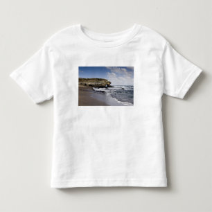Camiseta De Bebé Ecuador, Galápagos, Santiago también conocido como