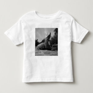 Camiseta De Bebé Ecuador, Islas Galápagos Parque Nacional, Santa