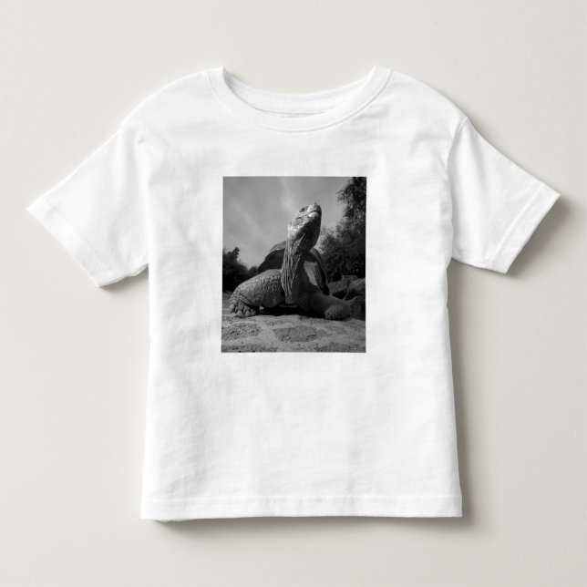 Camiseta De Bebé Ecuador, Islas Galápagos Parque Nacional, Santa (Anverso)