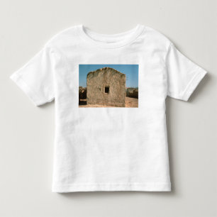 Camiseta De Bebé Edificio en Jericó viejo