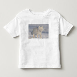 Camiseta De Bebé EE. UU., Alaska, 1002 Llanura costera del ANWR. Un