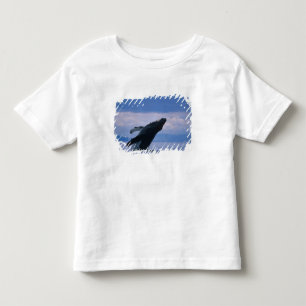 Camiseta De Bebé EE. UU., Alaska, Bosque Nacional Tongass, Jorobado