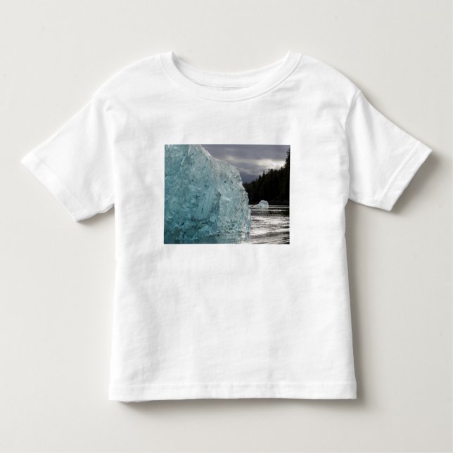 Camiseta De Bebé EE.UU., Alaska, Bosque Nacional Tongass, Tracy 2 (Anverso)