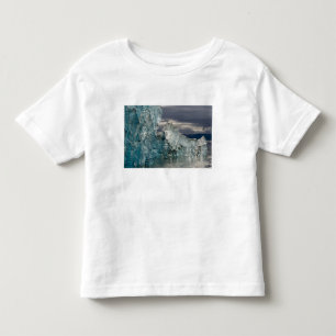 Camiseta De Bebé EE. UU., Alaska, Bosque Nacional Tongass, Tracy 3