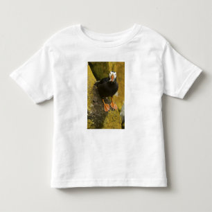 Camiseta De Bebé EE. UU., Alaska, Islas Pribilof, San Pablo. Copetu