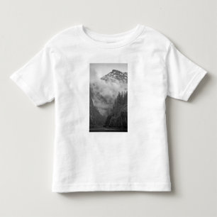 Camiseta De Bebé EE. UU., Alaska, Juneau, La selva tropical cubre f